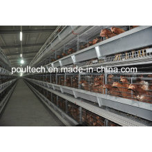 H Type Chicken Battery Cage System